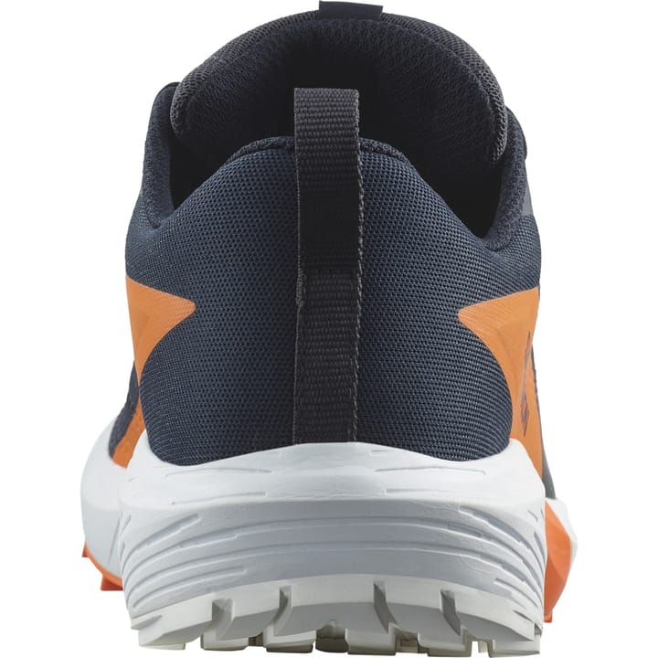 Salomon Men's Sense Ride 5 GORE-TEX India Ink/Carbon/Dragon